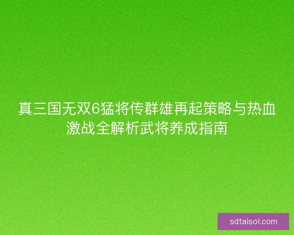 真三国无双6猛将传群雄再起策略与热血激战全解析武将养成指南