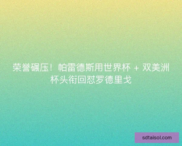 荣誉碾压！帕雷德斯用世界杯 + 双美洲杯头衔回怼罗德里戈